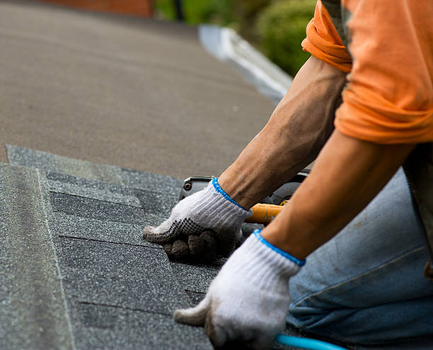 Best Storm Damage Roof Repair  in Castle Pines Village, CO